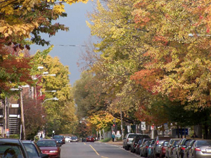 8e Avenue. Vue en direction NO. Crédit photo: Jean Cazes, 18 octobre 2007.