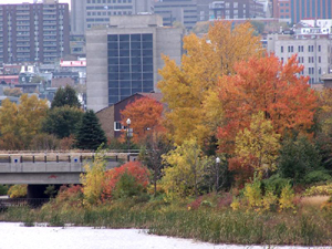 Vue rapprochée en direction SE. Crédit photo: Jean Cazes, 19 octobre 2007.