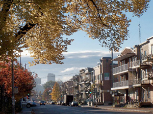 4e Avenue, vue en direction SE. Crédit photo: Jean Cazes, 25 octobre 2007.