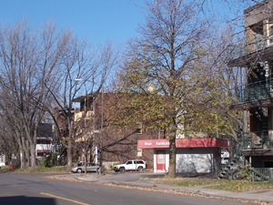 Coin 17e Rue et 3e Avenue, vue en direction N. Crédit photo: Jean Cazes, 2 novembre 2007.