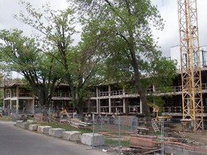 Vue en direction N sur une partie de l'immeuble. Photo: Jean Cazes, 6 juin 2007.