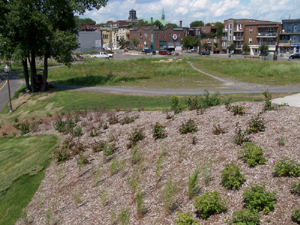 Vue en direction N sur le site du futur parc commémoratif près du pont Drouin. Photo: Jean Cazes, 13 juillet 2007.