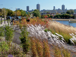 Grand format 800X600. Photo 8: phase III complétée de la rivière Saint-Charles, vue en direction E. Crédit photo: Jean Cazes, 4 octobre 2007.