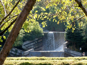 Grand format 800X600. Jardin de Saint-Roch, vue en direction SE. Crédit photo: Jean Cazes, 21 septembre 2007.