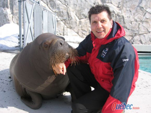 André Roy, directeur du Parc aquarium du Québec, avec Arnaliak, un morse de l’Atlantique.